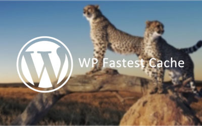 O melhor plugin de cache para o WordPress